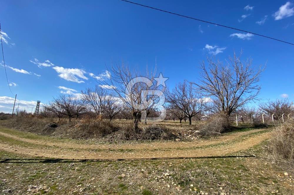 COLDWELL BANKER SAFİR'den UĞRAK da 32.658 m² SATILIK BAHÇE