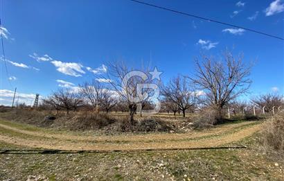 COLDWELL BANKER SAFİR'den UĞRAK da 32.658 m² SATILIK BAHÇE