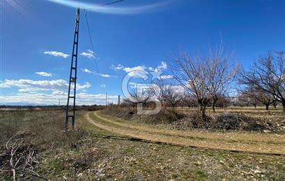 COLDWELL BANKER SAFİR'den UĞRAK da 32.658 m² SATILIK BAHÇE