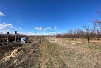 COLDWELL BANKER SAFİR'den UĞRAK da 32.658 m² SATILIK BAHÇE - 8 - 334114