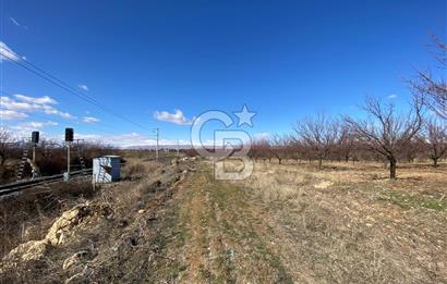 COLDWELL BANKER SAFİR'den UĞRAK da 32.658 m² SATILIK BAHÇE