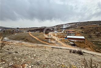 COLDWELL BANKER'den TECDE de 540m² VİLLA İMARLI SATILIK ARSA - 9 - 334111