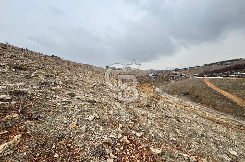 COLDWELL BANKER'den TECDE de 540m² VİLLA İMARLI SATILIK ARSA