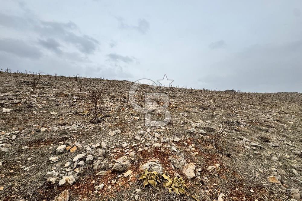 COLDWELL BANKER'den TECDE de 540m² VİLLA İMARLI SATILIK ARSA