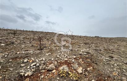 COLDWELL BANKER'den TECDE de 540m² VİLLA İMARLI SATILIK ARSA