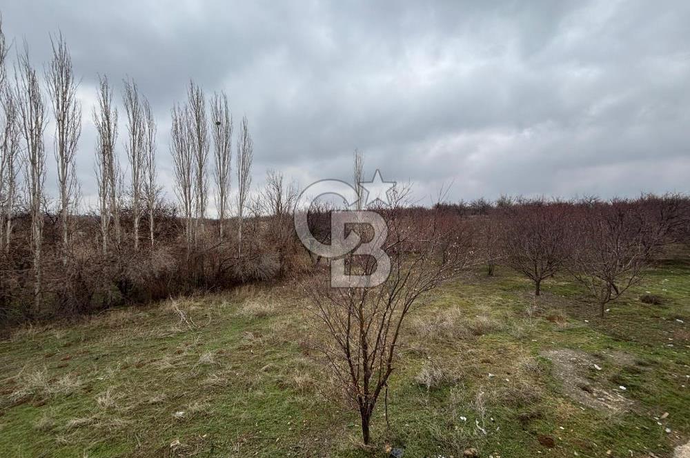 COLDWELL BANKER'den KUZEY KUŞAK YOLUNA SIFIR İMARLI SATILIK ARSA