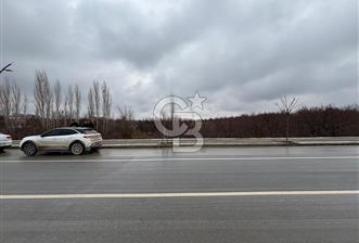 COLDWELL BANKER'den KUZEY KUŞAK YOLUNA SIFIR İMARLI SATILIK ARSA - 1 - 334092