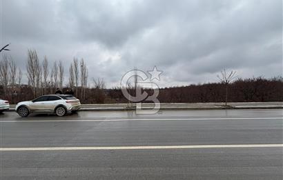 COLDWELL BANKER'den KUZEY KUŞAK YOLUNA SIFIR İMARLI SATILIK ARSA