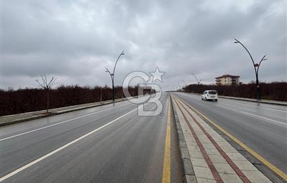 COLDWELL BANKER'den KUZEY KUŞAK YOLUNA SIFIR İMARLI SATILIK ARSA