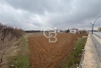 COLDWELL BANKER'den KUZEY KUŞAK YOLUNA SIFIR İMARLI SATILIK ARSA - 10 - 334094