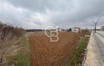 COLDWELL BANKER'den KUZEY KUŞAK YOLUNA SIFIR İMARLI SATILIK ARSA