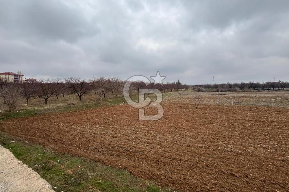 COLDWELL BANKER'den KUZEY KUŞAK YOLUNA SIFIR İMARLI SATILIK ARSA