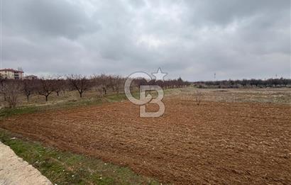 COLDWELL BANKER'den KUZEY KUŞAK YOLUNA SIFIR İMARLI SATILIK ARSA