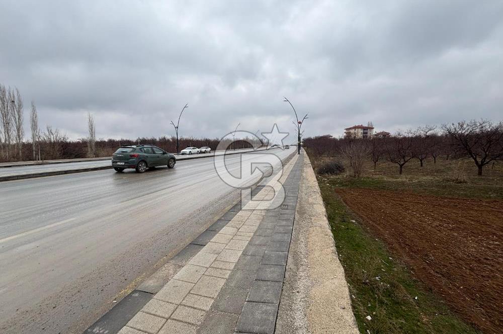 COLDWELL BANKER'den KUZEY KUŞAK YOLUNA SIFIR İMARLI SATILIK ARSA