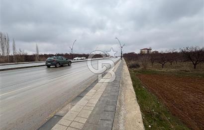 COLDWELL BANKER'den KUZEY KUŞAK YOLUNA SIFIR İMARLI SATILIK ARSA