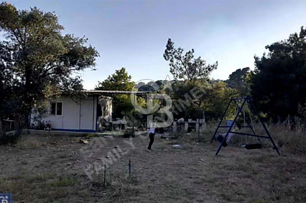 KEMALPAŞA YENMİŞ'TE ÇEVRİLİ KULLANIMA HAZIR BAHÇE