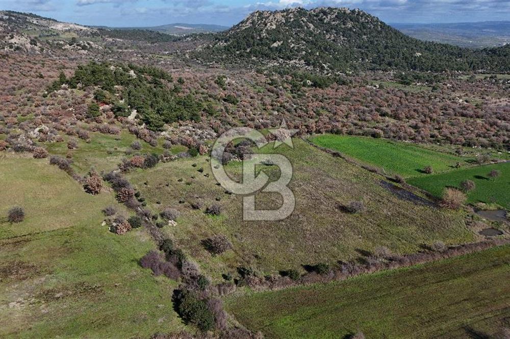 Çanakkale Ezine Yavaşlar Köyü Satılık 17.900 m² Tarla