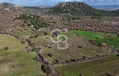 Çanakkale Ezine Yavaşlar Köyü Satılık 17.900 m² Tarla