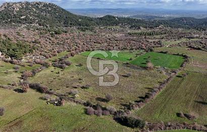 Çanakkale Ezine Yavaşlar Köyü Satılık 17.900 m² Tarla