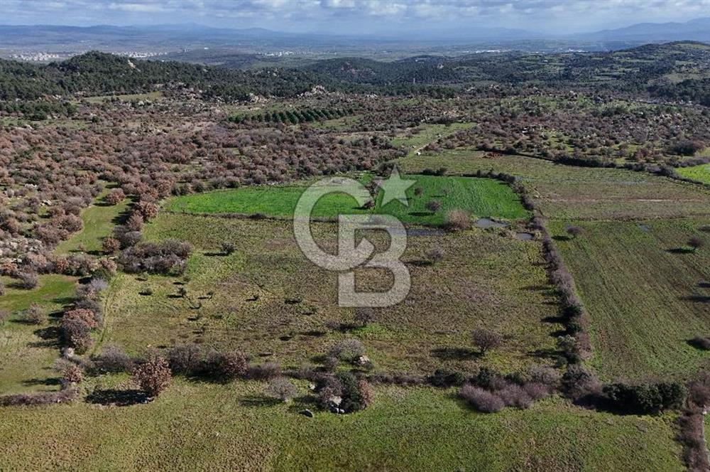 Çanakkale Ezine Yavaşlar Köyü Satılık 17.900 m² Tarla