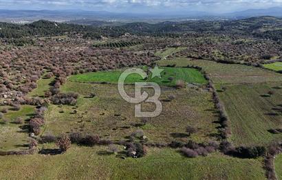 Çanakkale Ezine Yavaşlar Köyü Satılık 17.900 m² Tarla