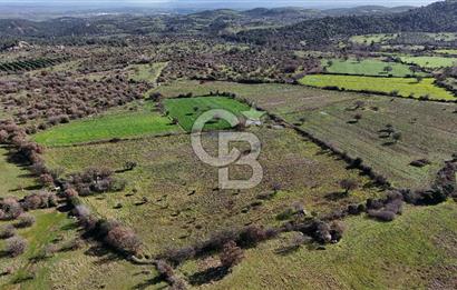 Çanakkale Ezine Yavaşlar Köyü Satılık 17.900 m² Tarla