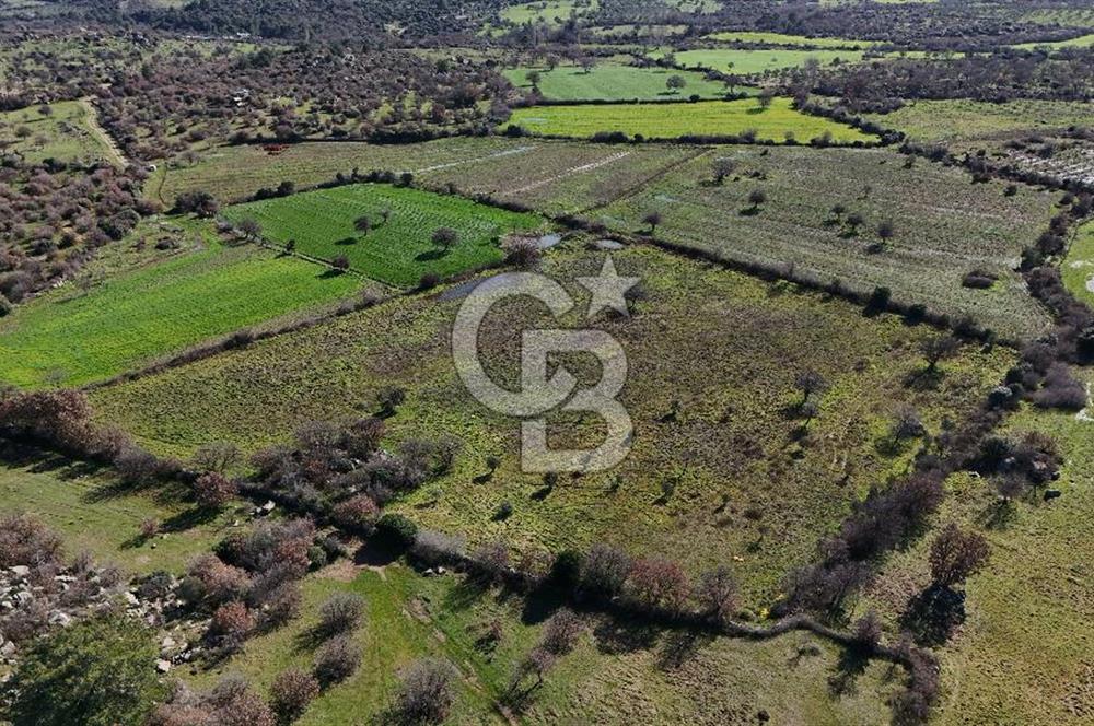 Çanakkale Ezine Yavaşlar Köyü Satılık 17.900 m² Tarla