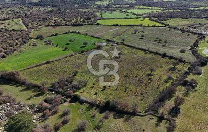 Çanakkale Ezine Yavaşlar Köyü Satılık 17.900 m² Tarla