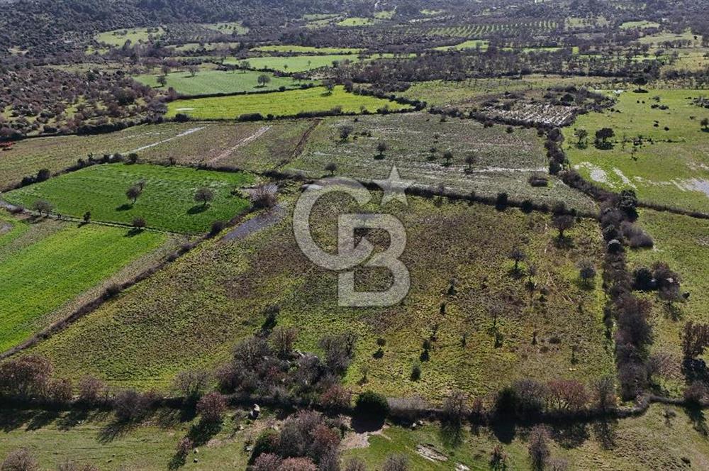 Çanakkale Ezine Yavaşlar Köyü Satılık 17.900 m² Tarla