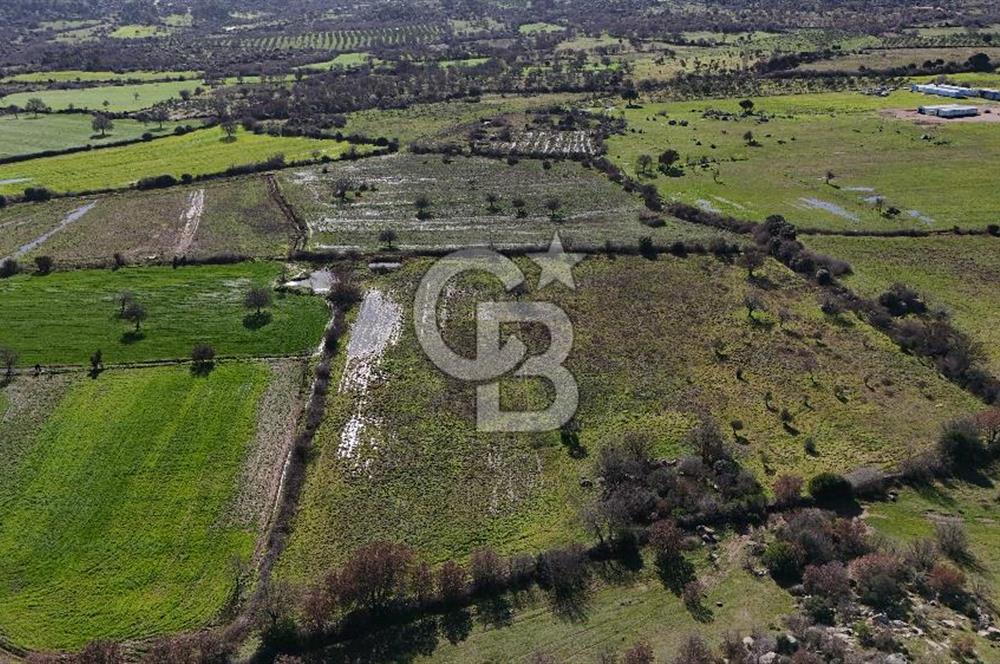 Çanakkale Ezine Yavaşlar Köyü Satılık 17.900 m² Tarla