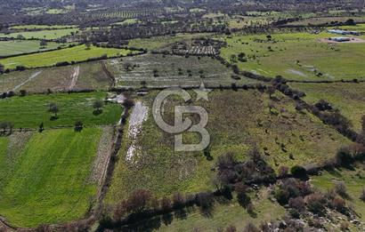 Çanakkale Ezine Yavaşlar Köyü Satılık 17.900 m² Tarla