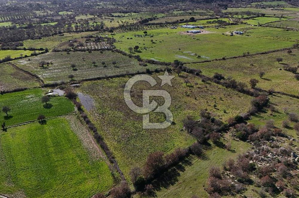 Çanakkale Ezine Yavaşlar Köyü Satılık 17.900 m² Tarla