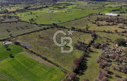 Çanakkale Ezine Yavaşlar Köyü Satılık 17.900 m² Tarla