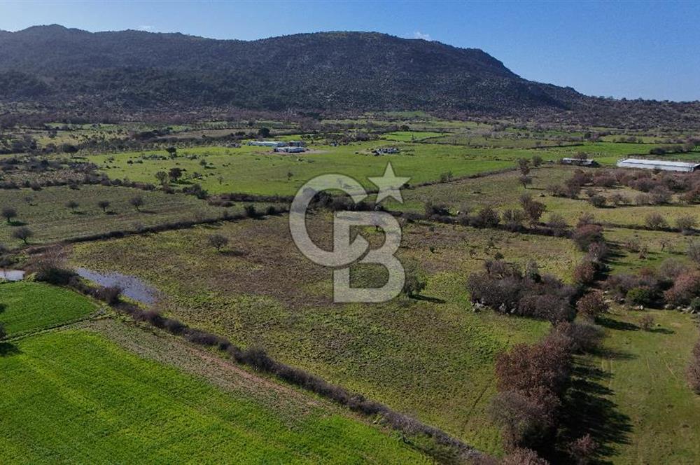 Çanakkale Ezine Yavaşlar Köyü Satılık 17.900 m² Tarla