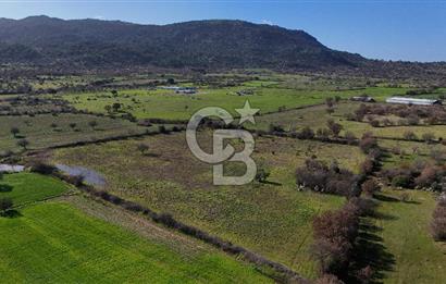 Çanakkale Ezine Yavaşlar Köyü Satılık 17.900 m² Tarla