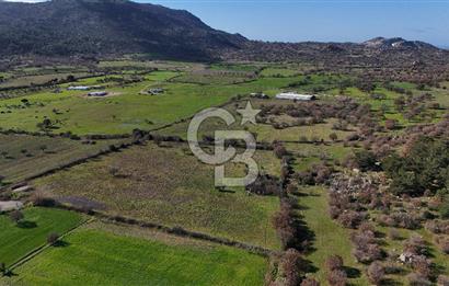 Çanakkale Ezine Yavaşlar Köyü Satılık 17.900 m² Tarla