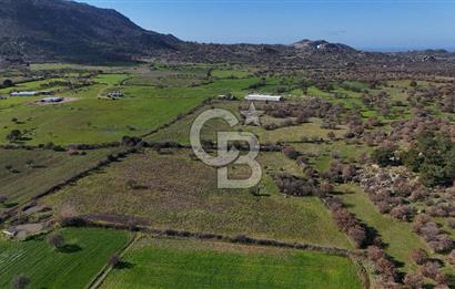 Çanakkale Ezine Yavaşlar Köyü Satılık 17.900 m² Tarla