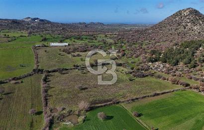 Çanakkale Ezine Yavaşlar Köyü Satılık 17.900 m² Tarla