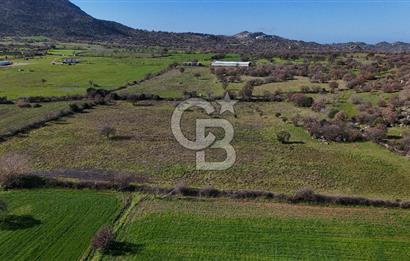 Çanakkale Ezine Yavaşlar Köyü Satılık 17.900 m² Tarla