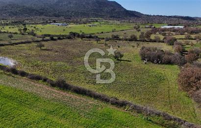 Çanakkale Ezine Yavaşlar Köyü Satılık 17.900 m² Tarla