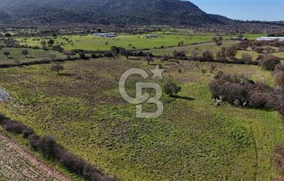 Çanakkale Ezine Yavaşlar Köyü Satılık 17.900 m² Tarla