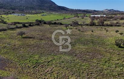 Çanakkale Ezine Yavaşlar Köyü Satılık 17.900 m² Tarla