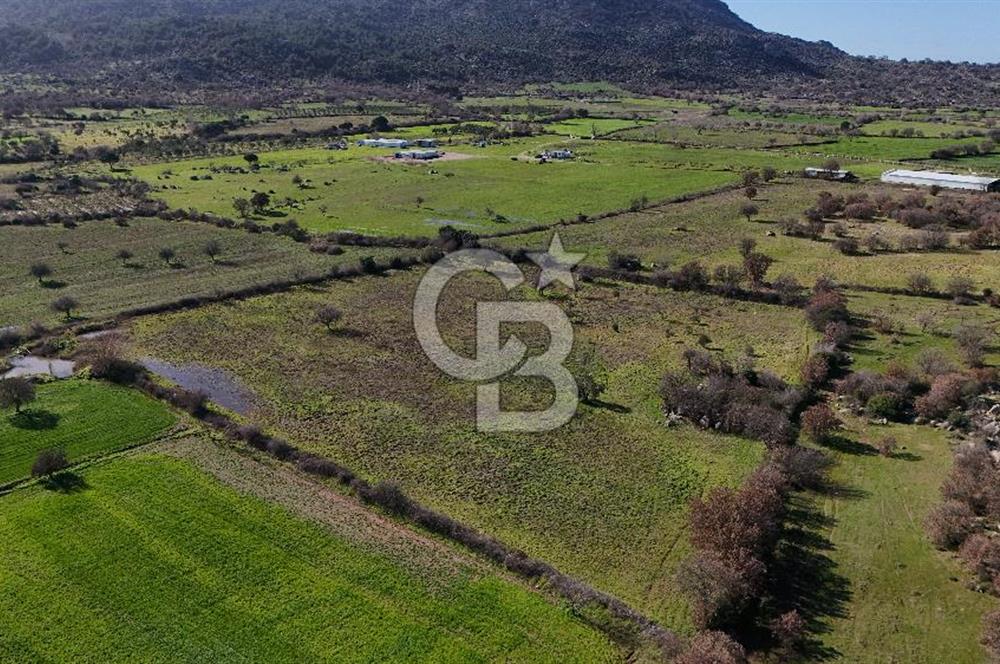 Çanakkale Ezine Yavaşlar Köyü Satılık 17.900 m² Tarla