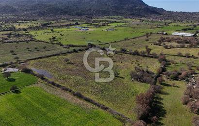 Çanakkale Ezine Yavaşlar Köyü Satılık 17.900 m² Tarla