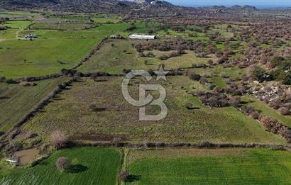 Çanakkale Ezine Yavaşlar Köyü Satılık 17.900 m² Tarla