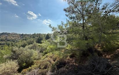 Seferihisar Turabiyede Baraj Manzaralı 3 Dönüm Fırsat Zeytinlik