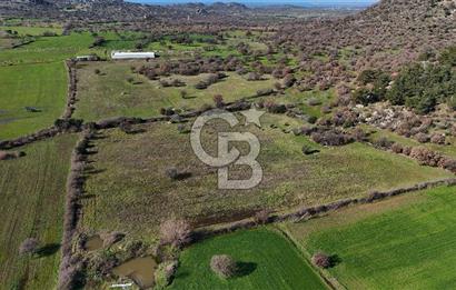 Çanakkale Ezine Yavaşlar Köyü Satılık 17.900 m² Tarla