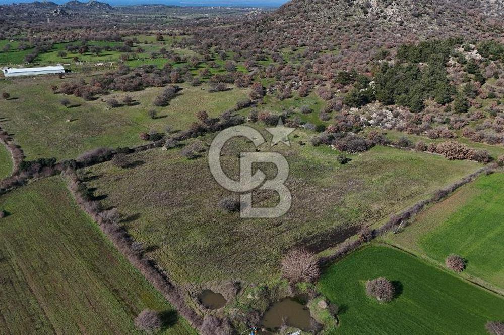 Çanakkale Ezine Yavaşlar Köyü Satılık 17.900 m² Tarla