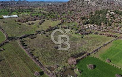 Çanakkale Ezine Yavaşlar Köyü Satılık 17.900 m² Tarla