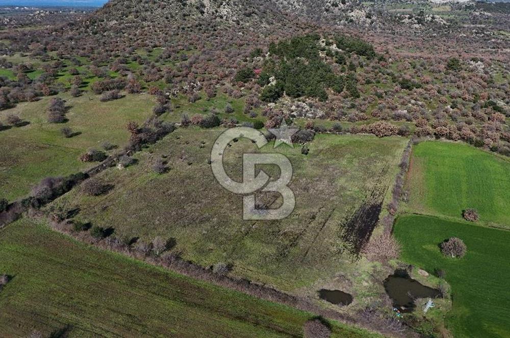 Çanakkale Ezine Yavaşlar Köyü Satılık 17.900 m² Tarla